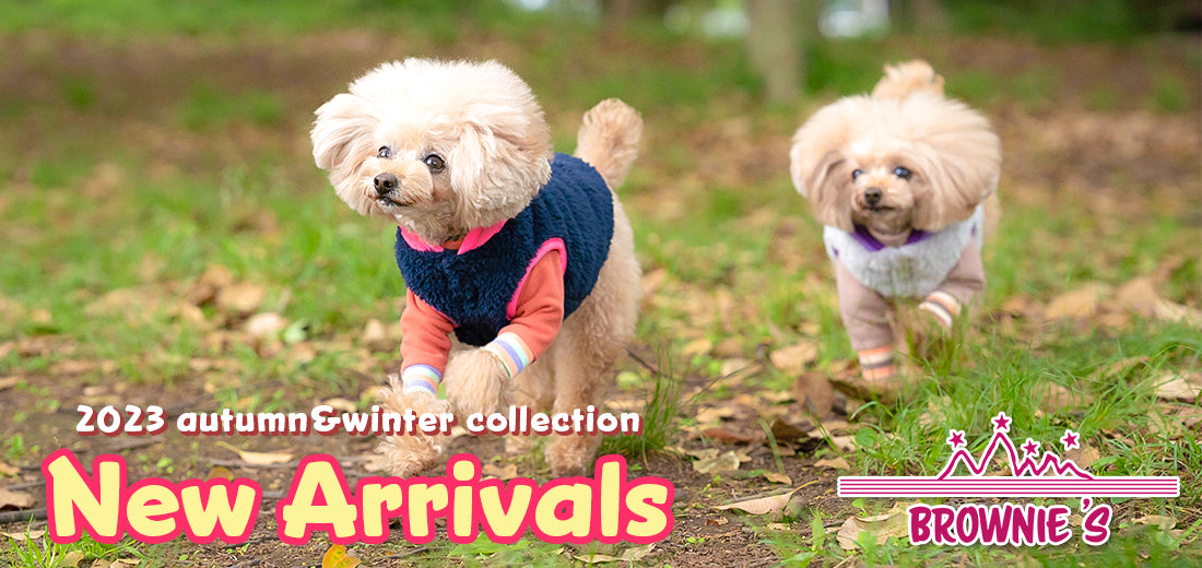 BROWNIE'S 2023 Autumn&Winter （ブラウニーズ） – WAN VOYAGE（ワン