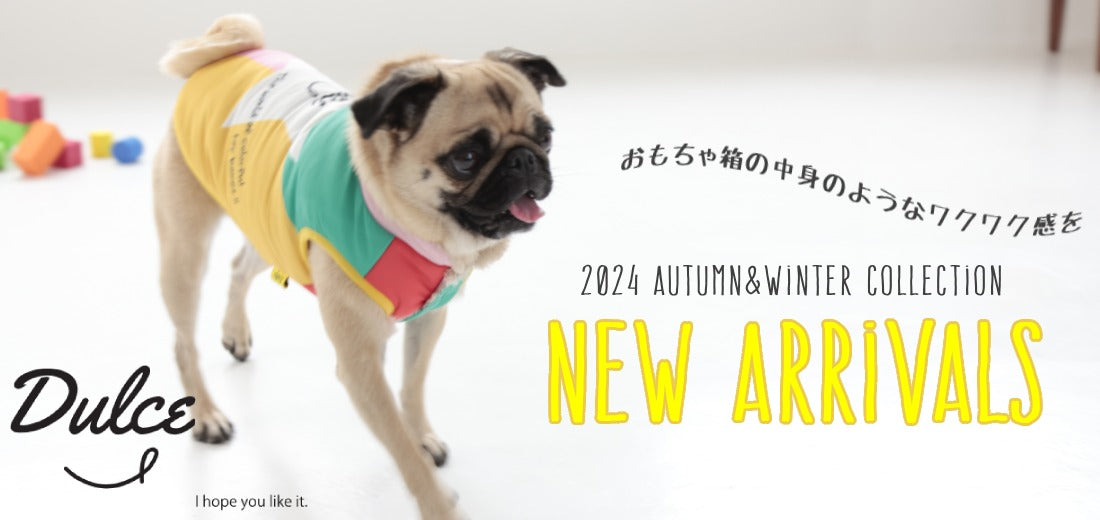 Dulce 2024 Autumn&Winter （ドゥルチェ） – Wan-Voyage（ワン