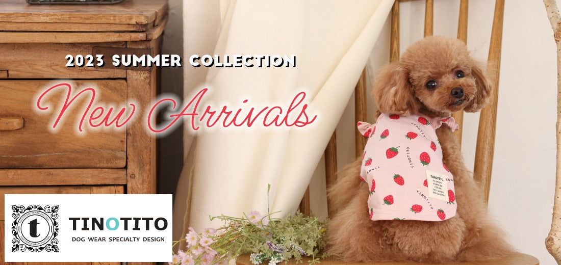 TINOTITO 2023 Spring&Summer （ティノティート） – Wan-Voyage（ワンボヤージュ）- お洒落なドッグウェア  犬服のお店