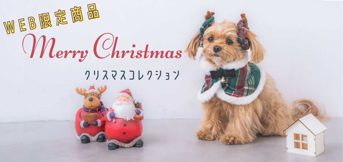 クリスマス特集