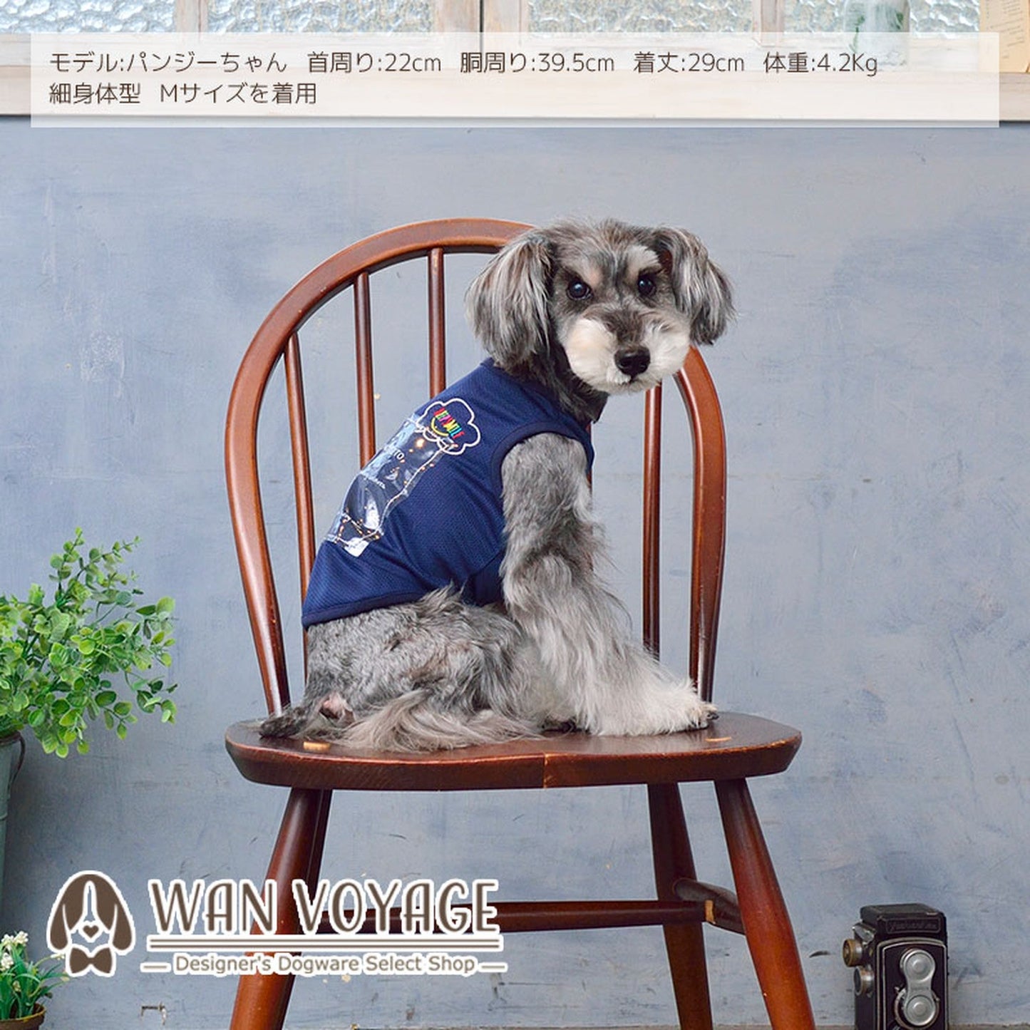 フィルム付きメッシュタンクトップ XS/S/M/L/XL/XXL TINOTITO-ティノティート- tt141172-1