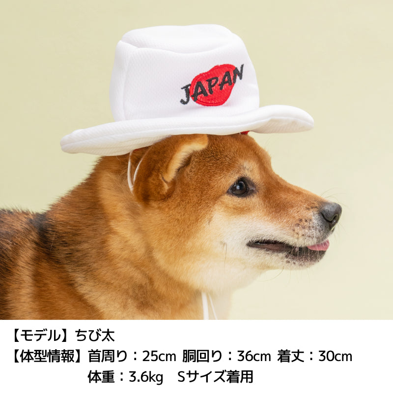 日本応援グッズ クールネック・帽子 Solgra -ソルグラ- 犬用 SO24SS so242373