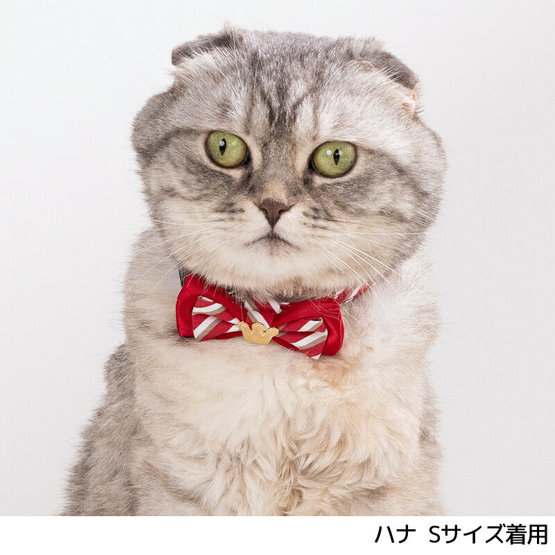 猫用リボン首輪 S/M Amo.k 猫用