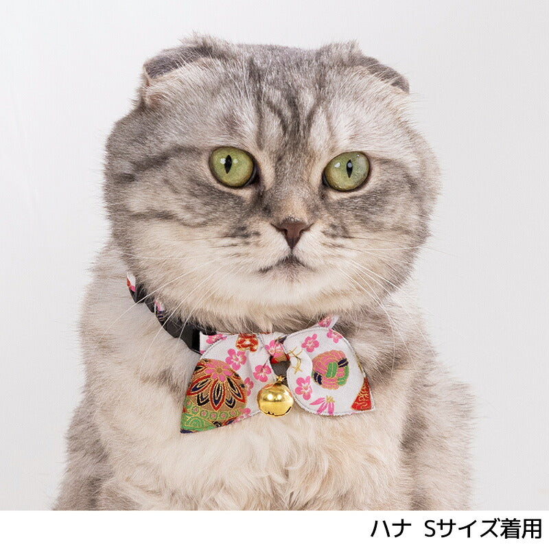 和柄猫用首輪1 S/M Amo.k 猫用