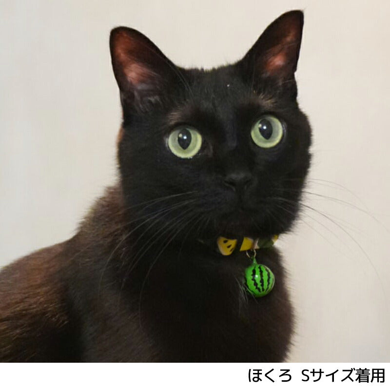 食べもの首輪シリーズ1 S/M Amo.k 猫用