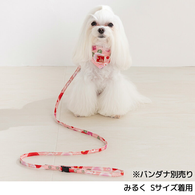 犬用和風リード S/M Amo.k 犬用