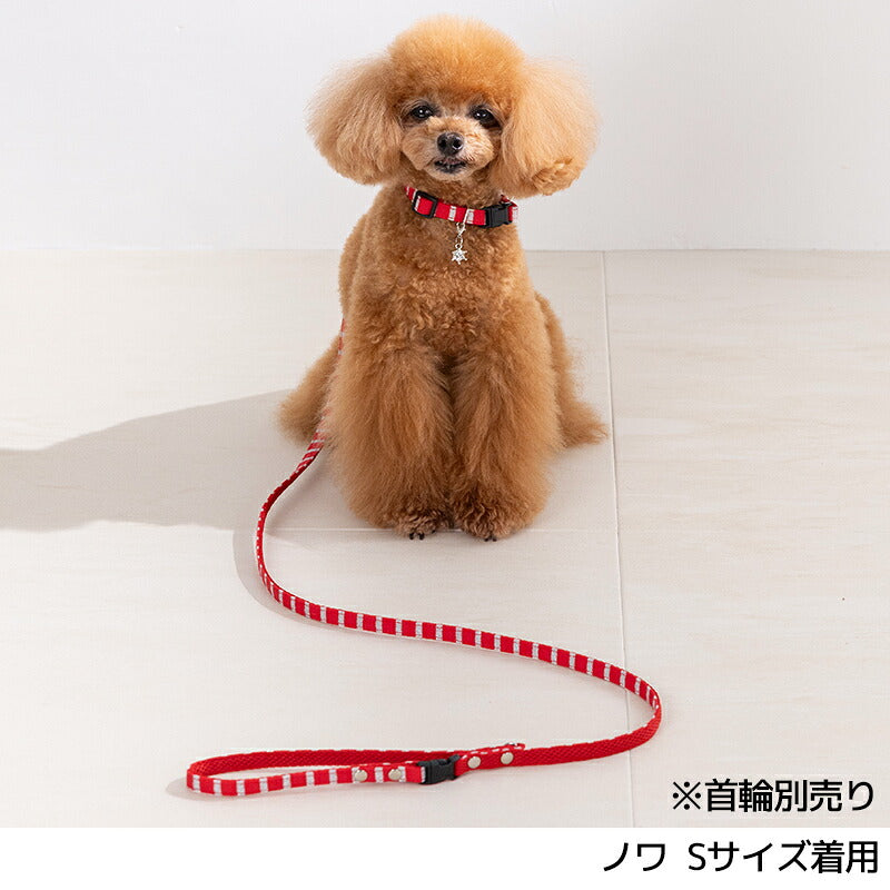 犬用カジュアルリード S/M Amo.k 犬用