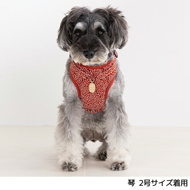 唐草小判ハーネス 1号/2号/3号/4号 Amo.k 犬用