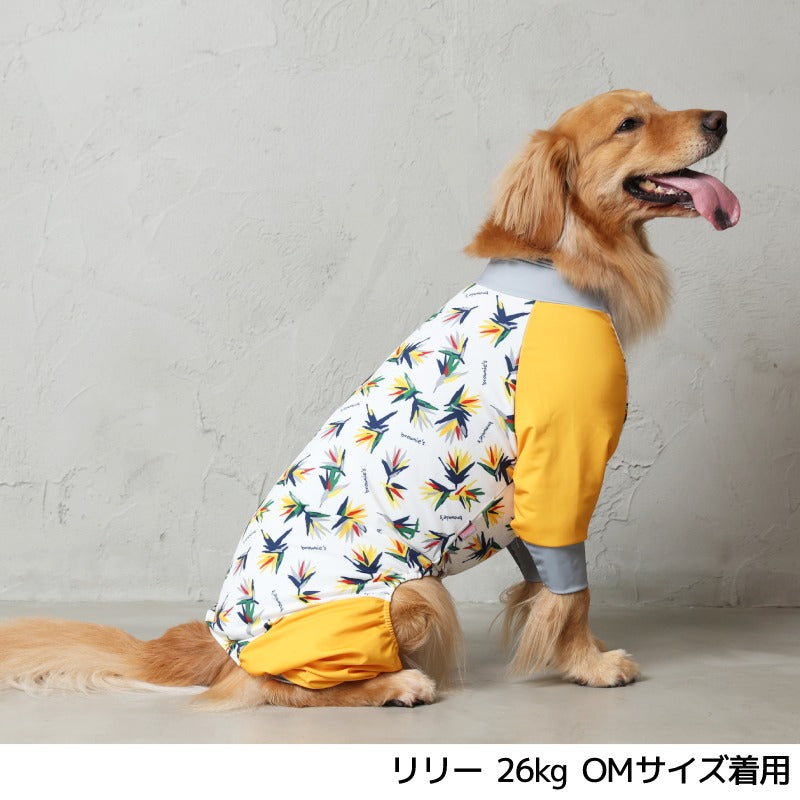 【2023年モデル】アクティブロンパース ストレリチア柄 サンゴ柄 S/M/L/XL/XXL/DXS/DS/DM/4L/5L/6L/OS/OM/OL アクティブロンパース BROWNIE'S-ブラウニーズ- 小型犬 大型犬 犬服 ドッグウェア BR23SS br231722-1