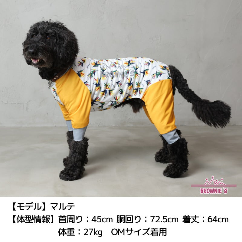 【2023年モデル】アクティブロンパース ストレリチア柄 サンゴ柄 犬用ラッシュガード S/M/L/XL/XXL/DXS/DS/DM/4L/5L/6L/OS/OM/OL BROWNIE'S-ブラウニーズ- アクロン 小型犬 大型犬 犬服 ドッグウェア BR23SS br231722-1