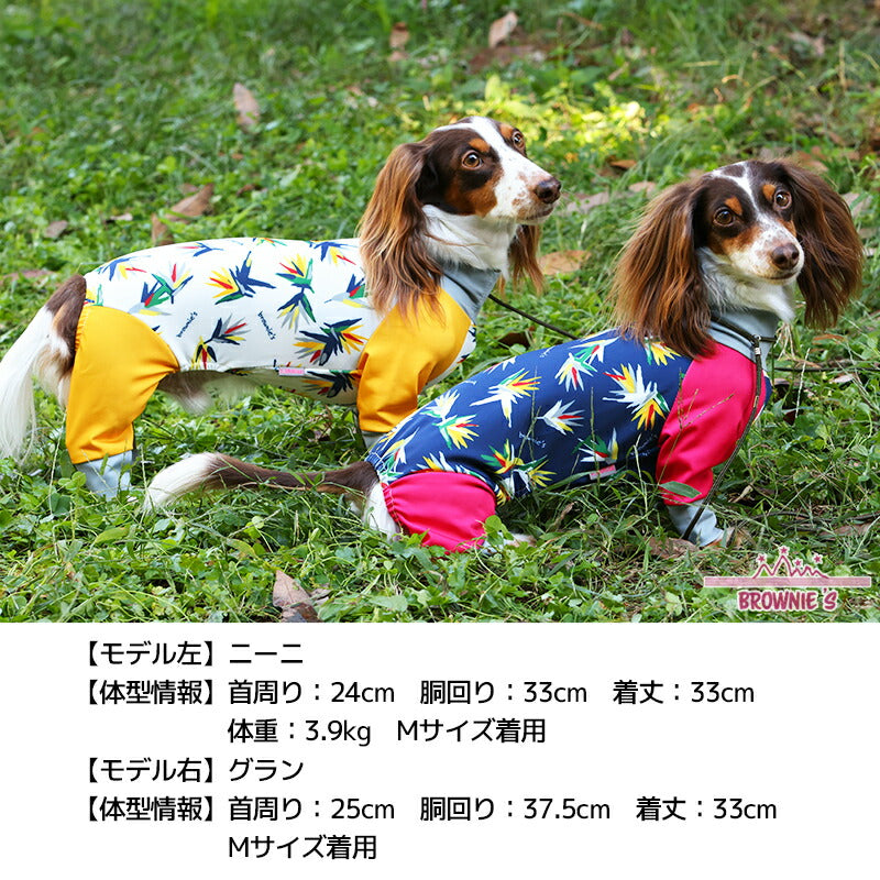 【2023年モデル】アクティブロンパース ストレリチア柄 サンゴ柄 犬用ラッシュガード S/M/L/XL/XXL/DXS/DS/DM/4L/5L/6L/OS/OM/OL BROWNIE'S-ブラウニーズ- アクロン 小型犬 大型犬 犬服 ドッグウェア BR23SS br231722-1