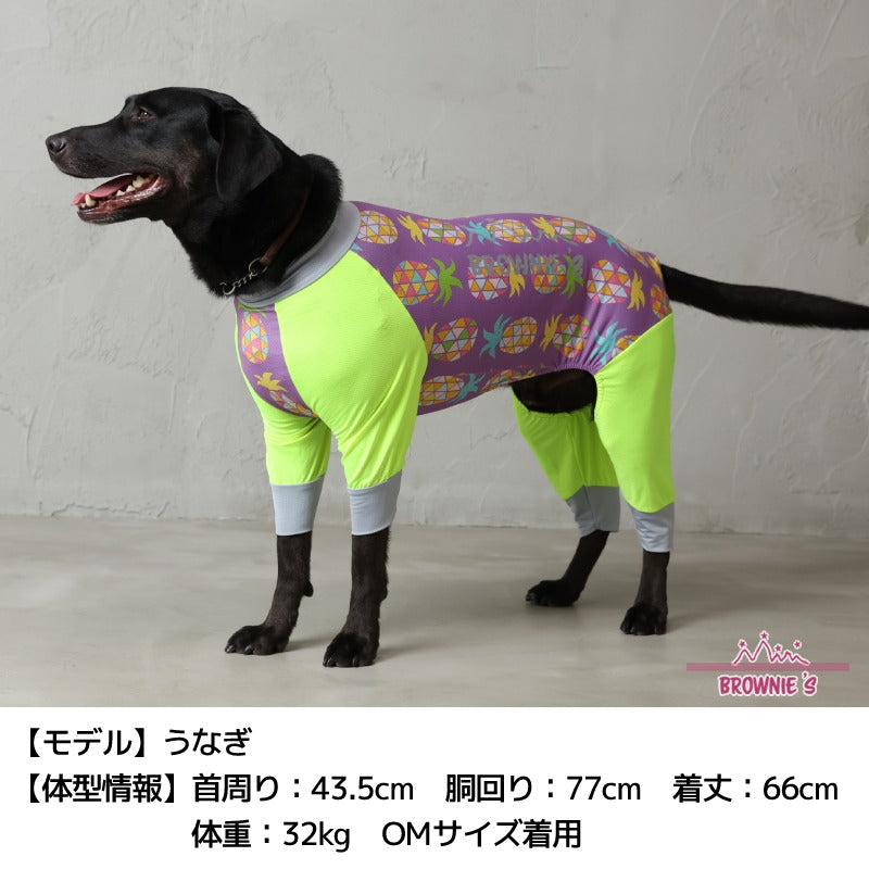 【2023年モデル】幾何学パインメッシュアクロン S/M/L/XL/XXL/DXS/DS/DM/4L/5L/6L/OS/OM/OL アクティブロンパース 犬用ラッシュガード BROWNIE'S-ブラウニーズ- 小型犬 大型犬 犬服 ドッグウェア BR23SS br231724-1