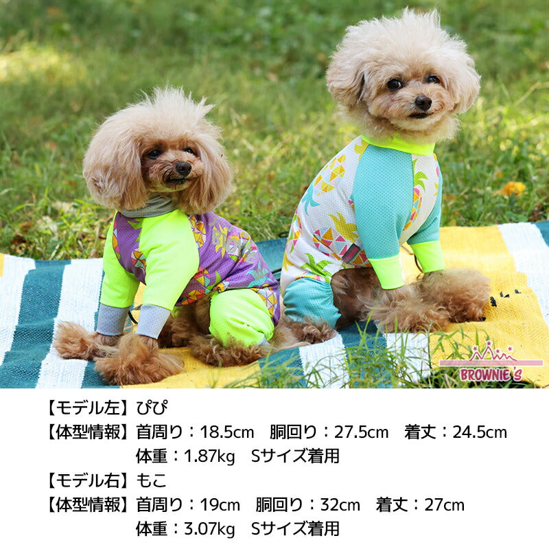 【2023年モデル】幾何学パインメッシュアクロン S/M/L/XL/XXL/DXS/DS/DM/4L/5L/6L/OS/OM/OL アクティブロンパース 犬用ラッシュガード BROWNIE'S-ブラウニーズ- 小型犬 大型犬 犬服 ドッグウェア BR23SS br231724-1