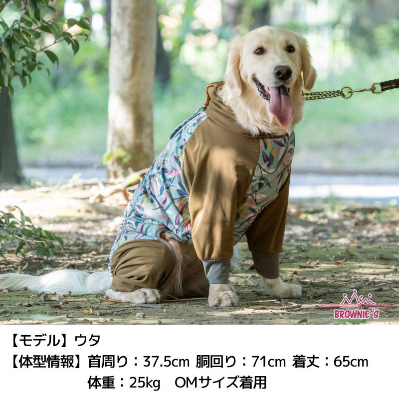 【2023年モデル】撥水アクティブロンパース リーフ柄 ハート柄 S/M/L/XL/XXLDXS/DS/DM/FBS/FBM/FBL/4L/5L/6L/OS/OM/OL BROWNIE'S-ブラウニーズ- 撥水アクティブロンパース 犬服 ドッグウェア 小型犬 大型犬 フレブル BR23AW br231737-1