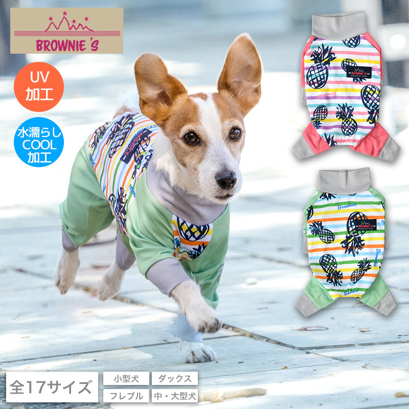カラフルボーダーメッシュアクロン S/M/L/XL/XXL/DXS/DS/DM/FBS/FBM/FBL/4L/5L/6L/OS/OM/OL BROWNIE'S-ブラウニーズ- 犬服 ドッグウェア 小型犬 ダックス フレブル 中大型犬 BR24SS br241763-1