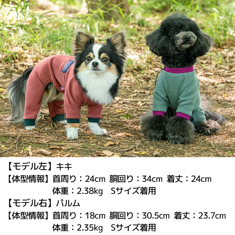 ツートンカラーロンパース S/M/L/XL/XXL/DXS/DS/DM/4L/5L/6L/OS/OM/OL BROWNIE'S-ブラウニーズ- 犬服 ドッグウェア 小型犬 ダックス 中大型犬 BR24AW br241770