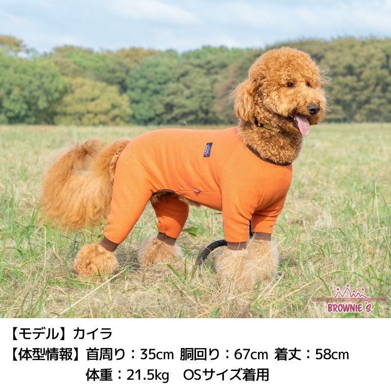 ツートンカラーロンパース S/M/L/XL/XXL/DXS/DS/DM/4L/5L/6L/OS/OM/OL BROWNIE'S-ブラウニーズ- 犬服 ドッグウェア 小型犬 ダックス 中大型犬 BR24AW br241770