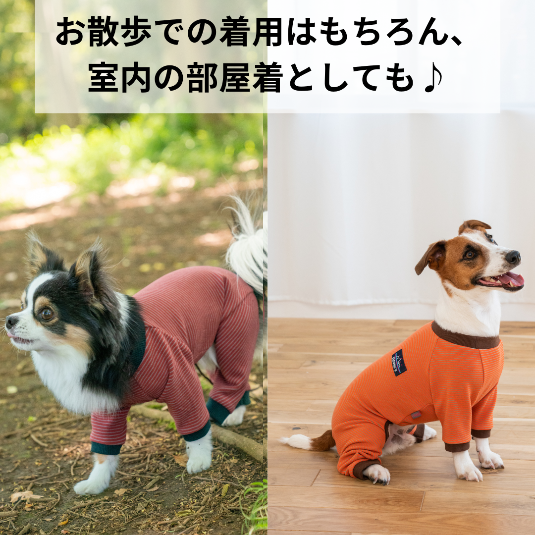 ツートンカラーロンパース S/M/L/XL/XXL/DXS/DS/DM/4L/5L/6L/OS/OM/OL BROWNIE'S-ブラウニーズ- 犬服 ドッグウェア 小型犬 ダックス 中大型犬 BR24AW br241770