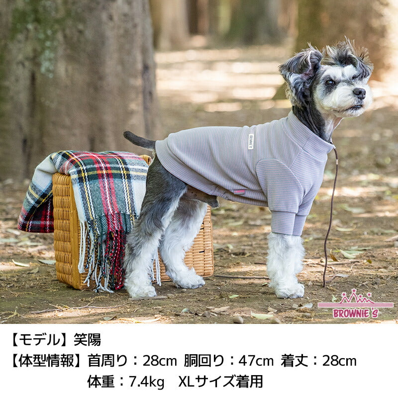 ボーダーストレッチトレーナー S/M/L/XL/XXL BROWNIE'S-ブラウニーズ- 犬服 ドッグウェア 小型犬 BR24AW br241773