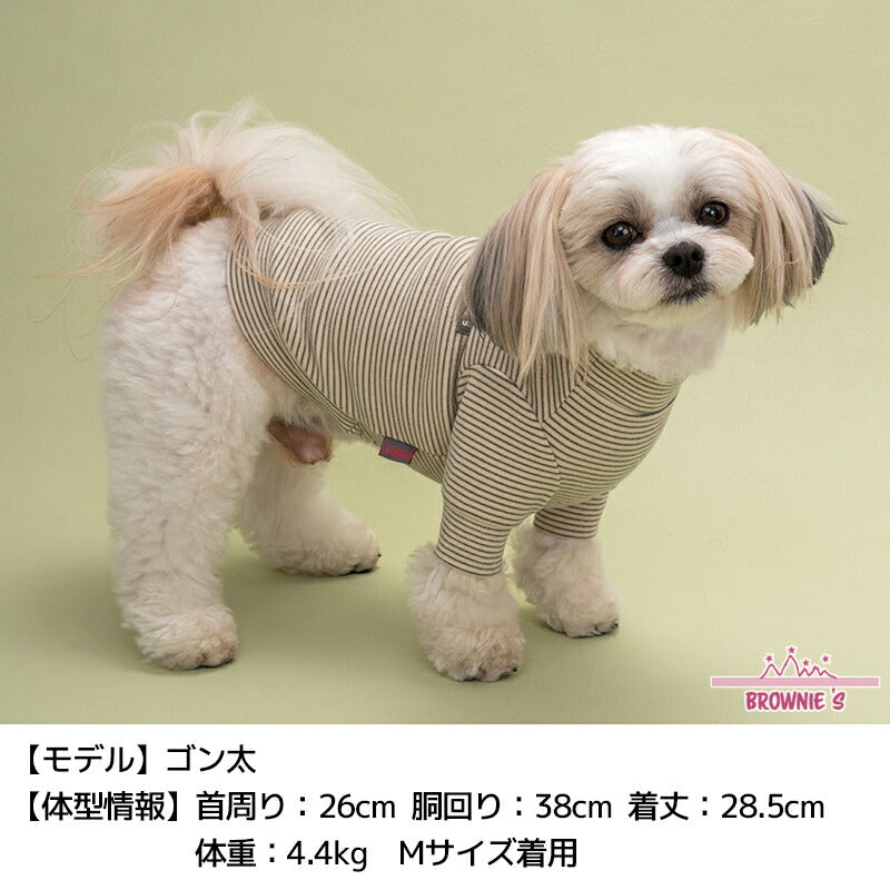 ボーダーストレッチトレーナー S/M/L/XL/XXL BROWNIE'S-ブラウニーズ- 犬服 ドッグウェア 小型犬 BR24AW br241773