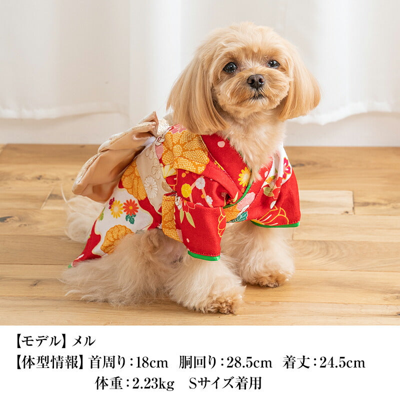 菊柄着物 XS/S/M/L/XL/XXL/DXS/DS/DM CRAZYBOO -クレイジーブー- 犬服 ドッグウェア CB24AW アルわん優待 cb241093