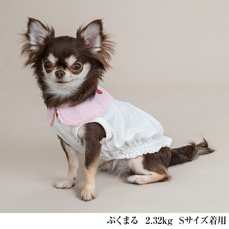 丸襟シャーリングタンク XS/S/M/L/XL/XXL/DXS/DS/DM CRAZYBOO -クレイジーブー- 犬服 ドッグウェア CB25SS cb251115