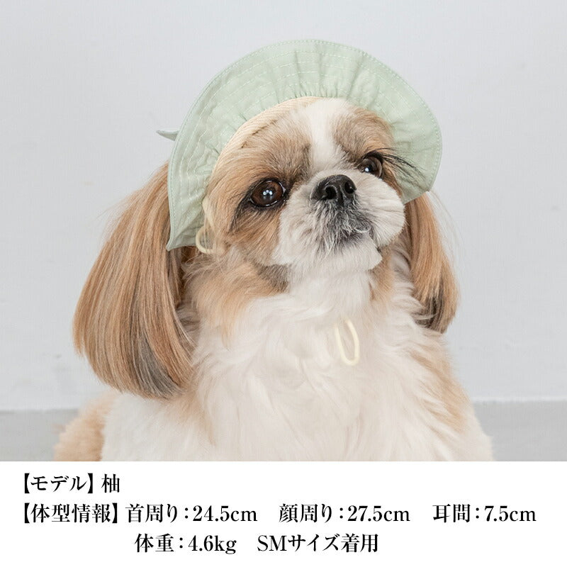 くま耳帽子 S/SM/M/L CRAZYBOO -クレイジーブー- 犬服 ドッグウェア CB25SS cb252119