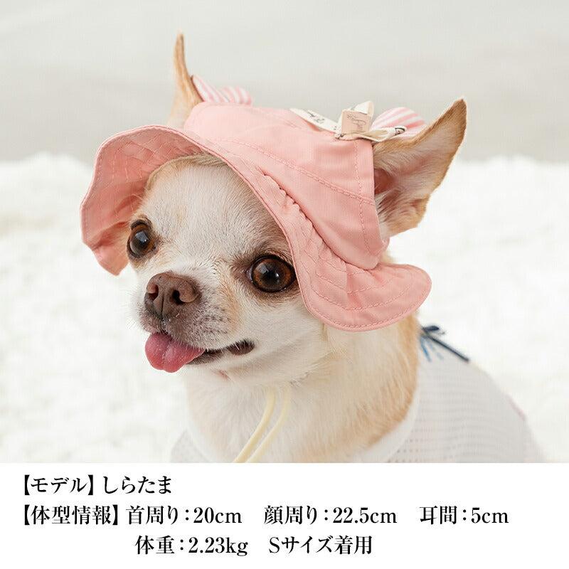 くま耳帽子 S/SM/M/L CRAZYBOO -クレイジーブー- 犬服 ドッグウェア CB25SS cb252119