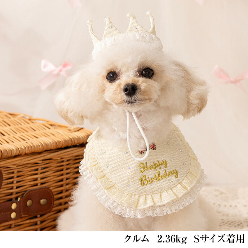 【公式通販限定】レースフリルバースデースタイ S/M/L CRAZYBOO -クレイジーブー- 犬用 誕生日 CB25SS cb252147