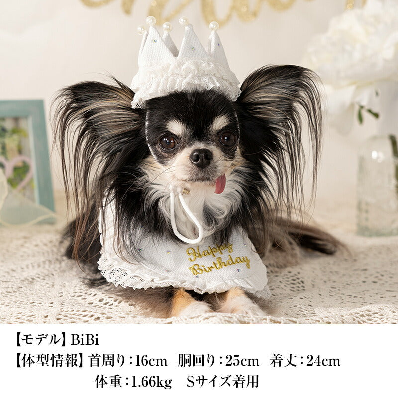 【公式通販限定】レースフリルバースデースタイ S/M/L CRAZYBOO -クレイジーブー- 犬用 誕生日 CB25SS cb252147