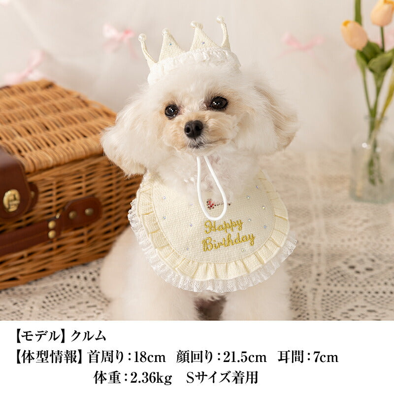 【公式通販限定】レースフリルバースデースタイ S/M/L CRAZYBOO -クレイジーブー- 犬用 誕生日 CB25SS cb252147