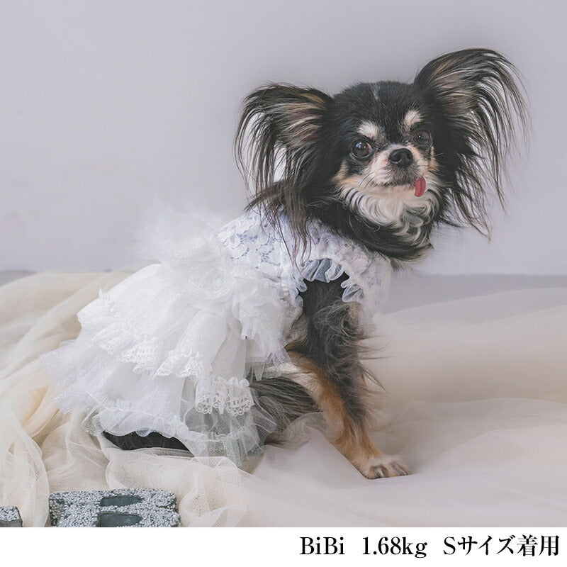 【公式通販限定】チュールティアードウエディングドレス XS/S/M/L/XL CRAZYBOO -クレイジーブー- 犬服 ドッグウェア 結婚式 イベント CB25AW cb251150