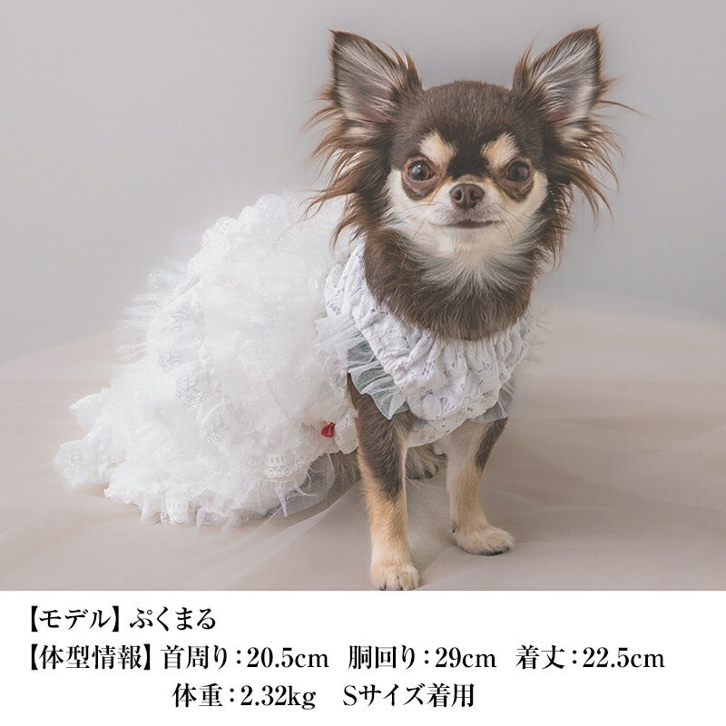 【公式通販限定】チュールティアードウエディングドレス XS/S/M/L/XL CRAZYBOO -クレイジーブー- 犬服 ドッグウェア 結婚式 イベント CB25AW cb251150