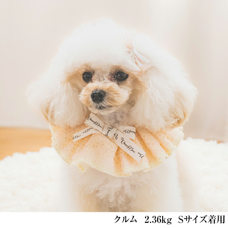 【公式通販限定】七夕ラメチュールリボンスタイ S/M/L CRAZYBOO -クレイジーブー- 犬用 CB25SS cb252154