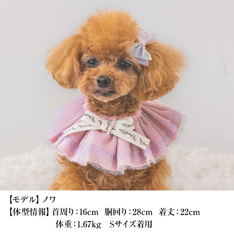 【公式通販限定】七夕ラメチュールリボンスタイ S/M/L CRAZYBOO -クレイジーブー- 犬用 CB25SS cb252154