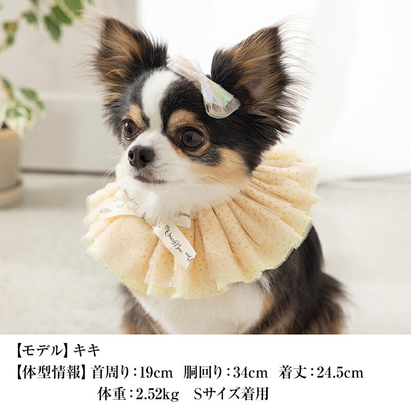 【公式通販限定】七夕ラメチュールリボンスタイ S/M/L CRAZYBOO -クレイジーブー- 犬用 CB25SS cb252154