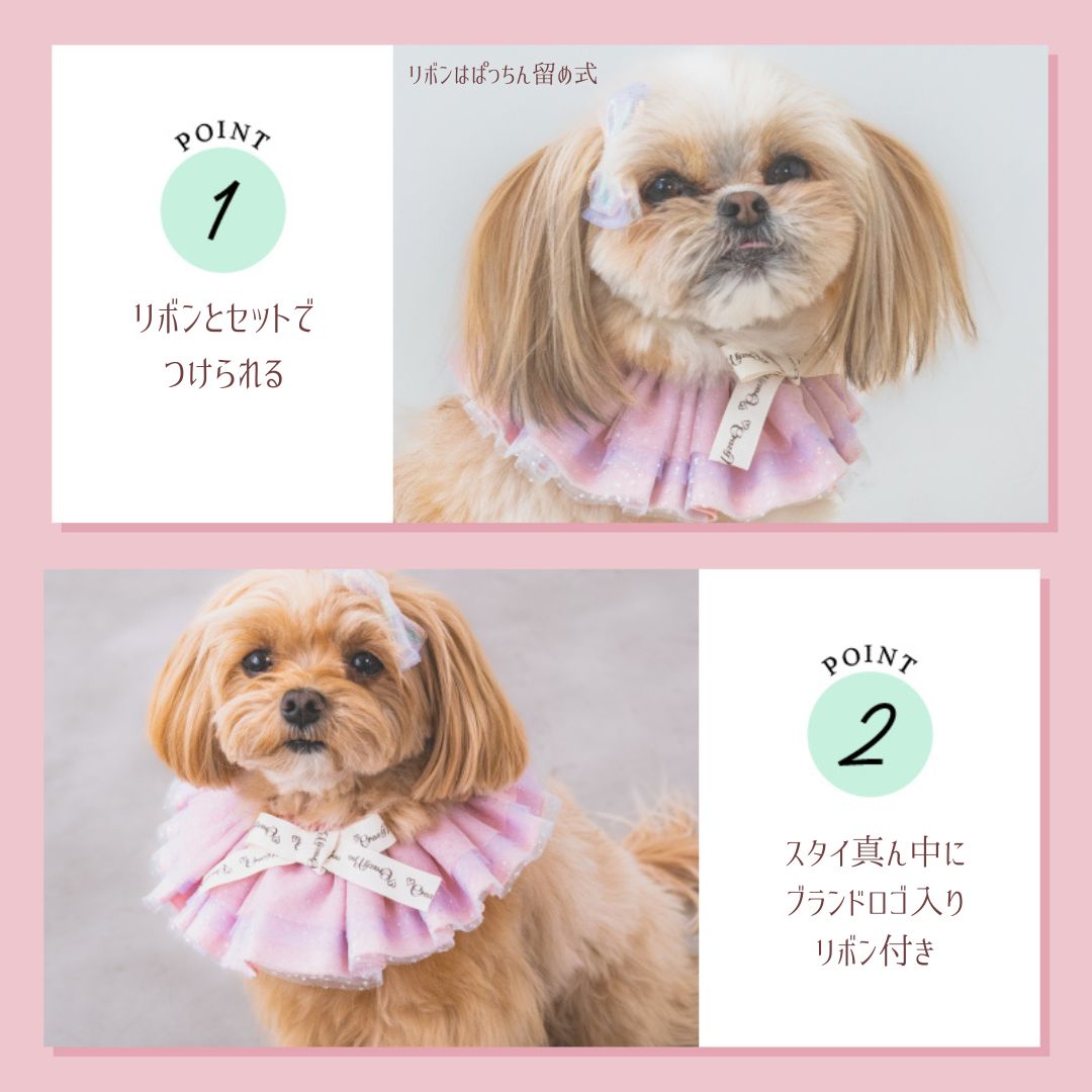 【公式通販限定】七夕ラメチュールリボンスタイ S/M/L CRAZYBOO -クレイジーブー- 犬用 CB25SS cb252154