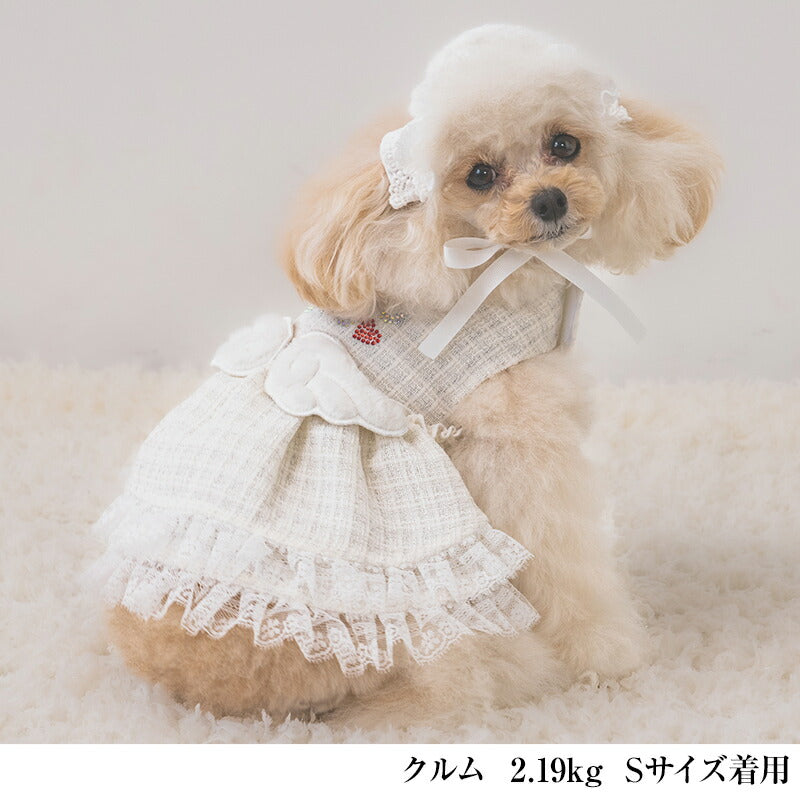 【公式通販限定】エンジェルワンピ XS/S/M/L/XL CRAZYBOO -クレイジーブー- 犬服 ドッグウェア ハロウィン CB25AW cb251156