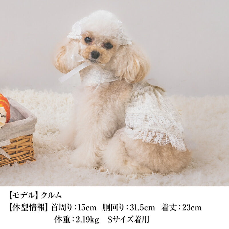 【公式通販限定】エンジェルワンピ XS/S/M/L/XL CRAZYBOO -クレイジーブー- 犬服 ドッグウェア ハロウィン CB25AW cb251156