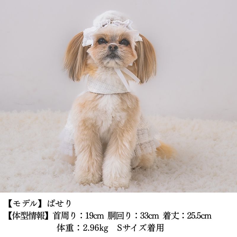 【公式通販限定】エンジェルワンピ XS/S/M/L/XL CRAZYBOO -クレイジーブー- 犬服 ドッグウェア ハロウィン CB25AW cb251156