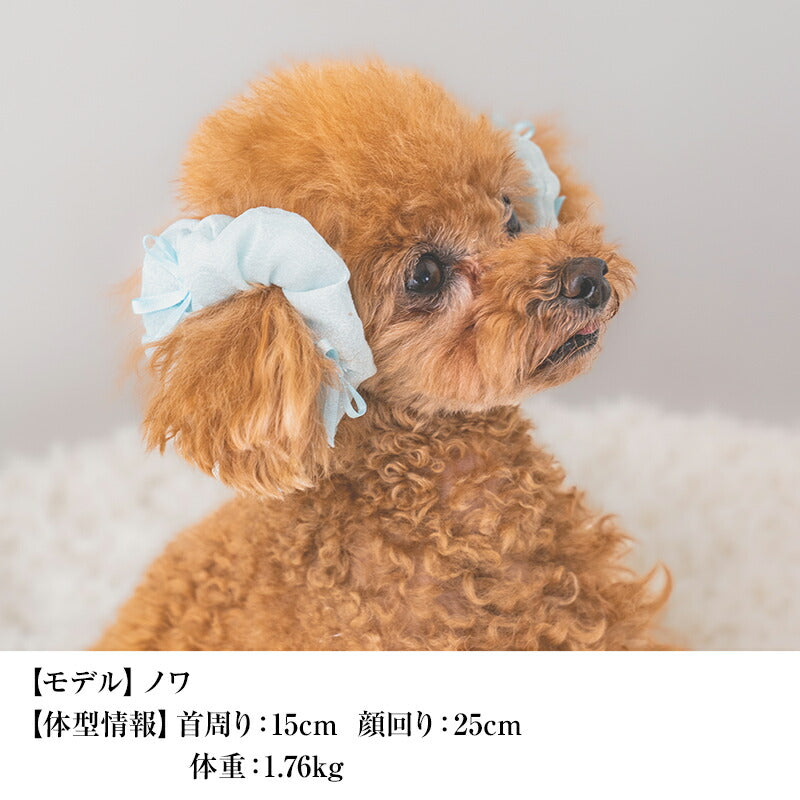【公式通販限定】リボンシュシュ F CRAZYBOO -クレイジーブー- 犬用 アクセサリー CB25SS cb252158