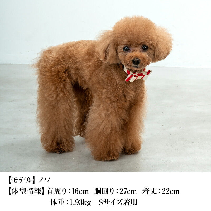 CRAZYBOO / クレイジーブー ストライプカラー 首輪 S / M / Lサイズ 犬服 / 犬の服 / ドッグウェア