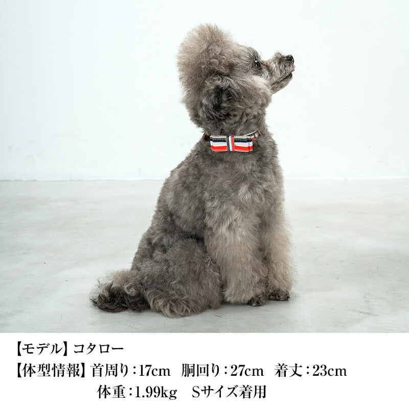 CRAZYBOO / クレイジーブー トリコロールカラー 首輪 S / M / Lサイズ 犬服 / 犬の服 / ドッグウェア