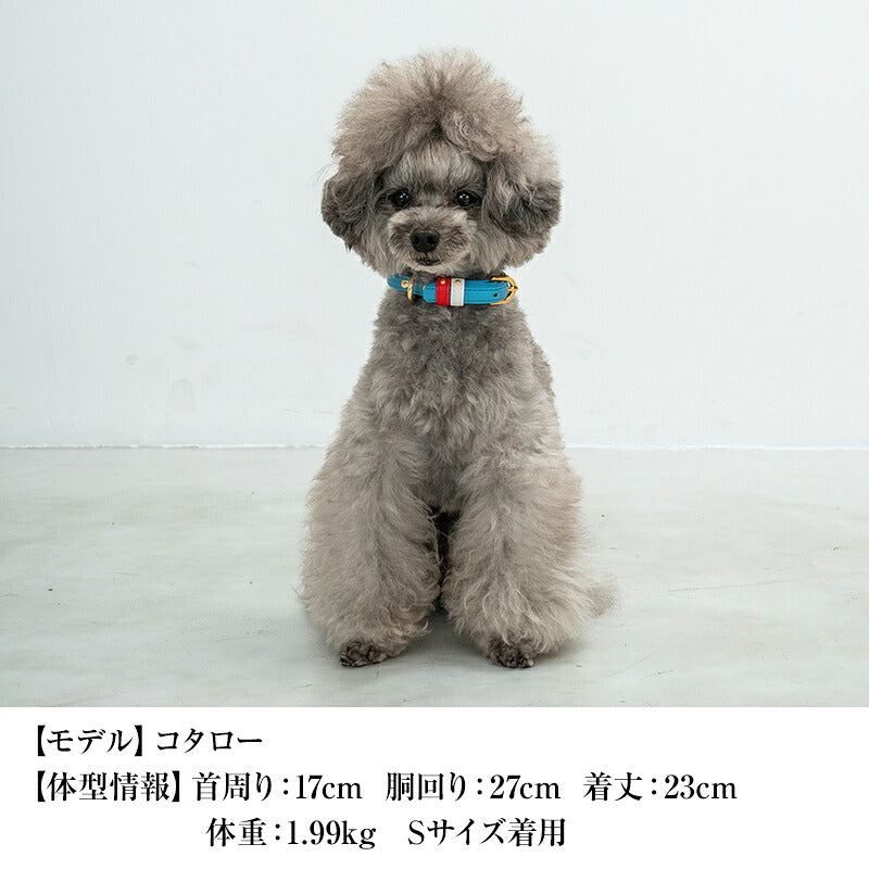 【CRAZYBOO公式】首輪 カラー スワロフ ベルト通し S/M/L クレイジーブー 犬用 小型犬 トイプードル チワワ ダックス cb119828-1