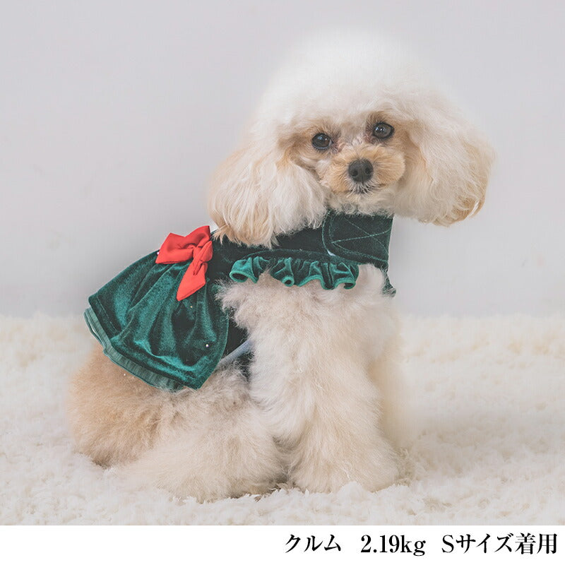 【公式通販限定】クリスマスリボンワンピ XS/S/M/L/XL CRAZYBOO -クレイジーブー- 犬服 ドッグウェア CB25AW cb251004
