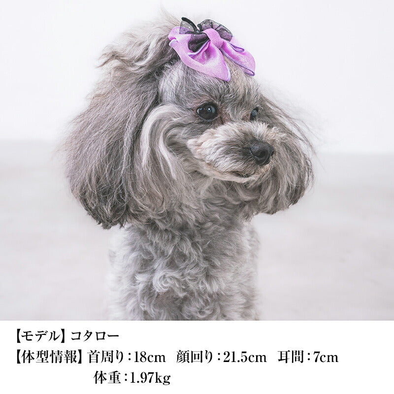【公式通販限定】ハロウィンヘアリボン F CRAZYBOO -クレイジーブー- 犬用 アクセサリー CB25AW cb252007