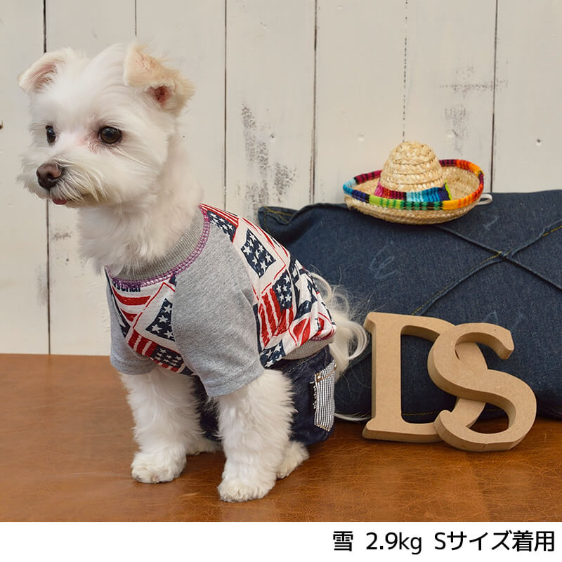 アメリカンメッシュTシャツ XS/S/M/L/XL/XXL/DS/DM/4L/5L/6L/OS/OM/OL D's Chat-ディーズチャット- 犬服 ドッグウェア 小型犬 ダックス 中・大型犬 DS21SS ds151098-1