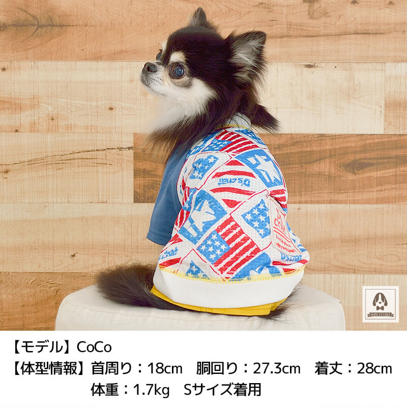 アメリカンメッシュTシャツ XS/S/M/L/XL/XXL/DS/DM/4L/5L/6L/OS/OM/OL D's Chat-ディーズチャット- 犬服 ドッグウェア 小型犬 ダックス 中・大型犬 DS21SS ds151098-1