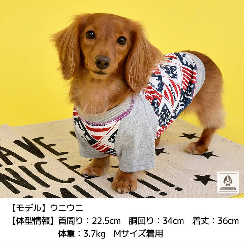 アメリカンメッシュTシャツ XS/S/M/L/XL/XXL/DS/DM/4L/5L/6L/OS/OM/OL D's Chat-ディーズチャット- 犬服 ドッグウェア 小型犬 ダックス 中・大型犬 DS21SS ds151098-1