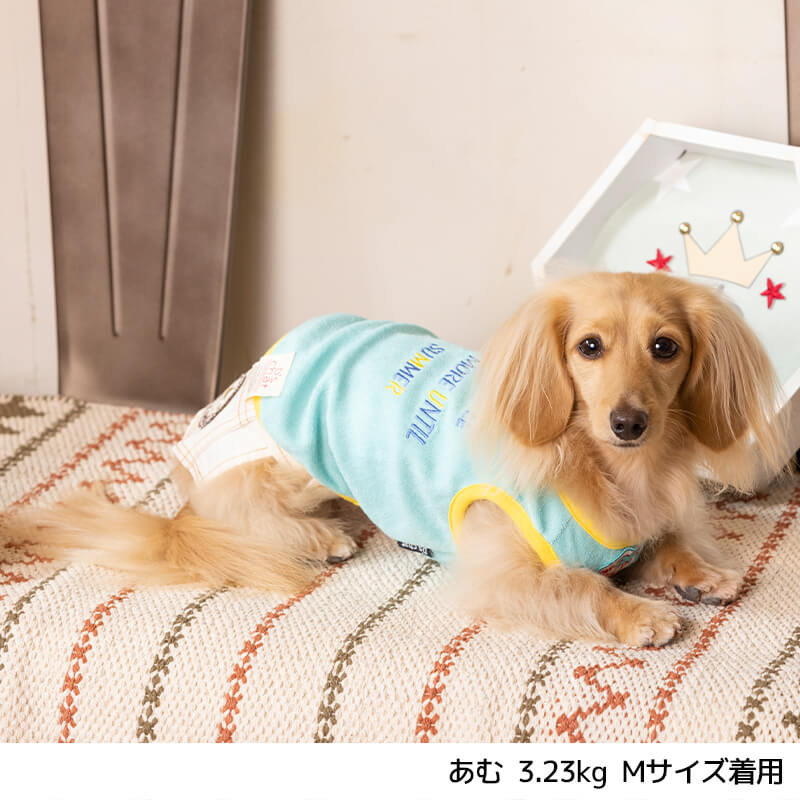 パイル刺繍タンク XS/S/M/L/XL/XXL/DS/DM/DL/FBM D's Chat-ディーズチャット- 犬服 ドッグウェア 小型犬 ダックス フレブル DS22SS ds161120-1
